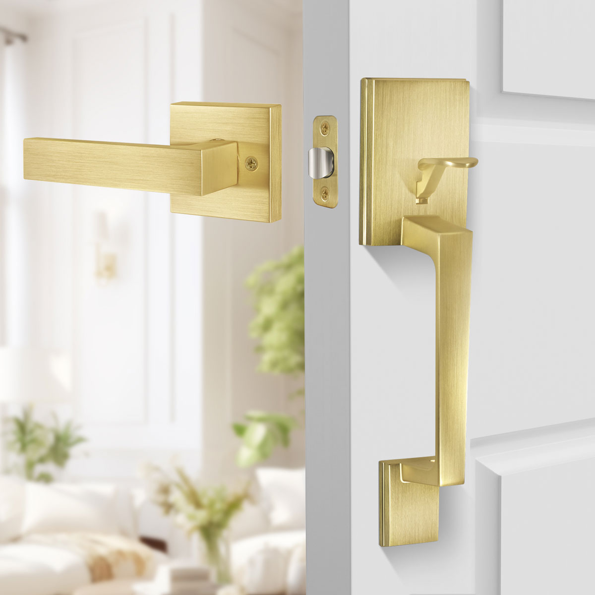 schlage front door handle set