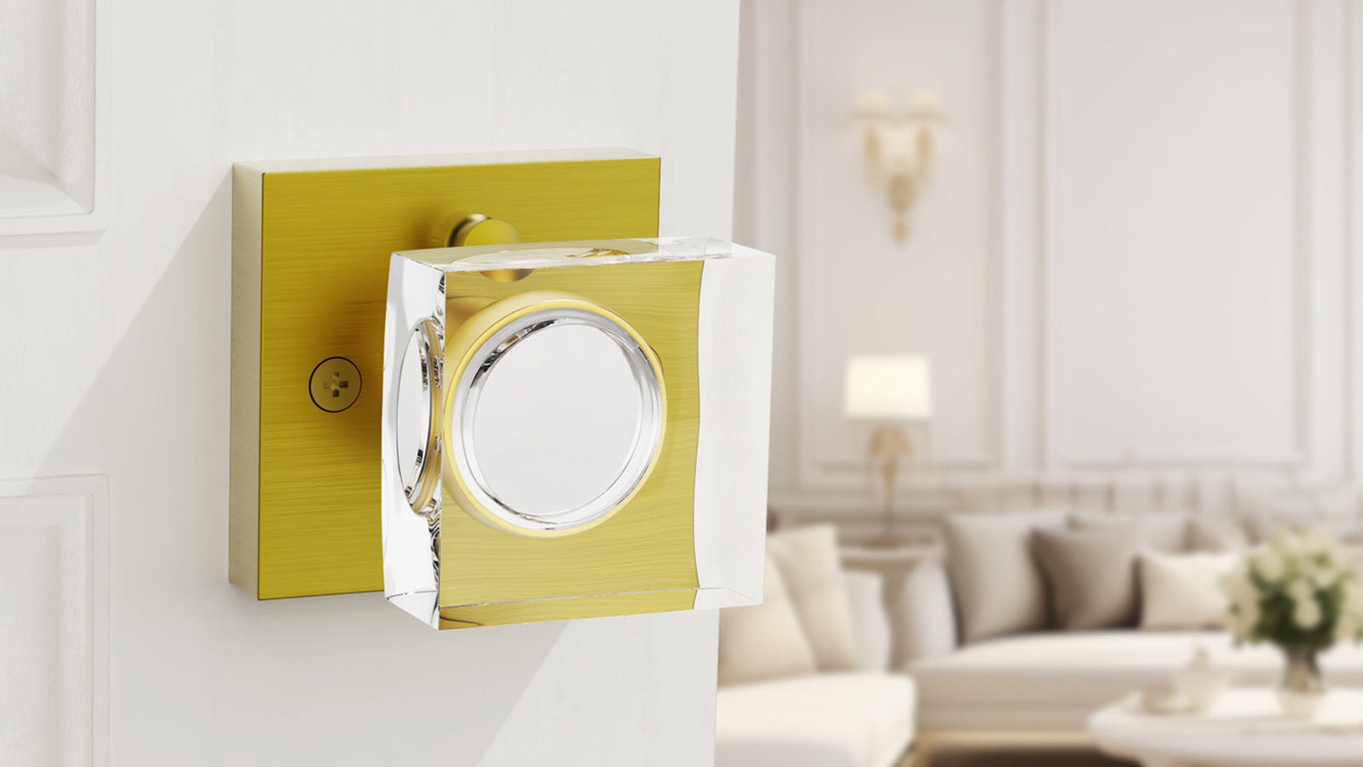 Passage vs Privacy vs Dummy Door Knobs