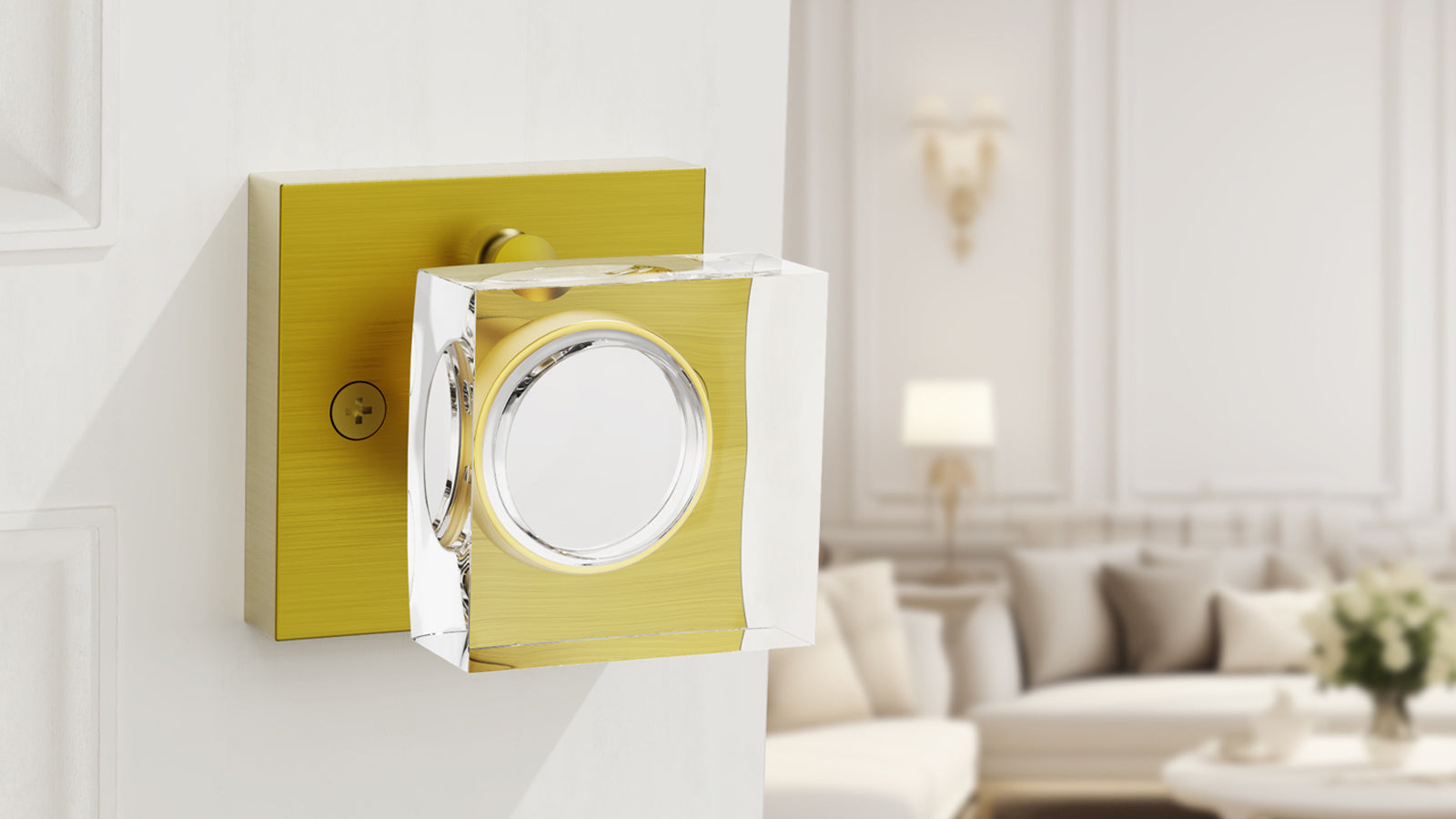 Passage vs Privacy vs Dummy Door Knobs