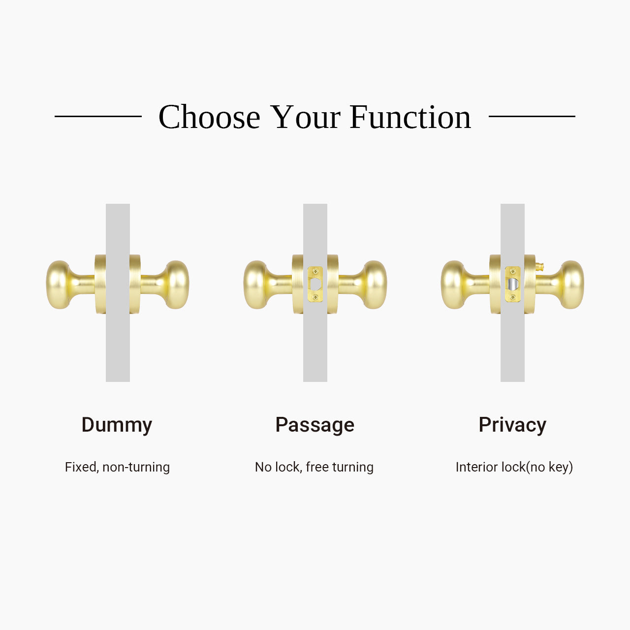 contemporary interior door knobs privacy passage dummy function comparison SENY