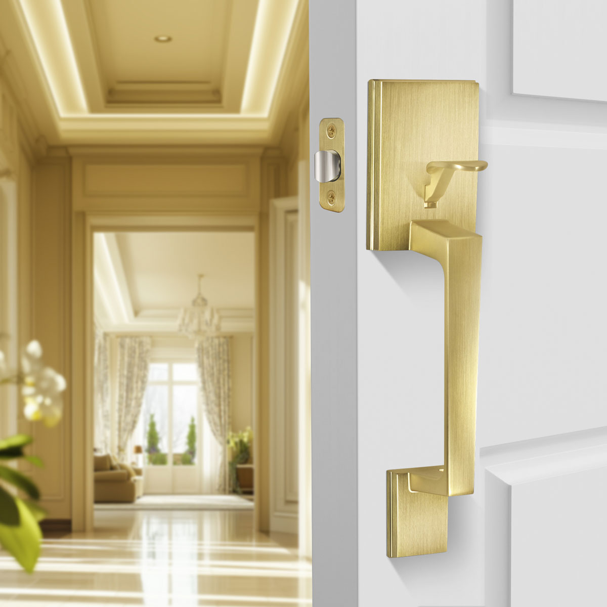 front door hardware set