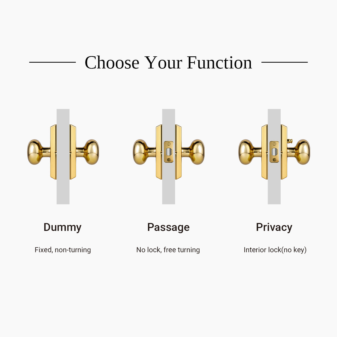 Interior door knob available in dummy passage and privacy functions